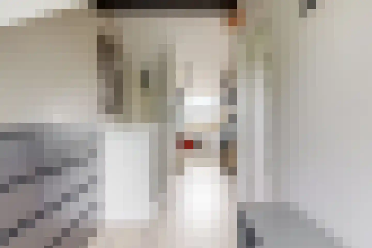 Rodenbachlaan 8 Uithoorn thumbnail 16