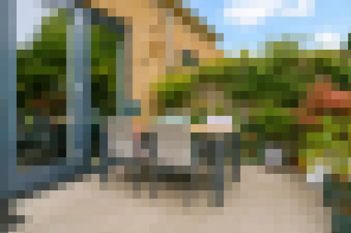 Rodenbachlaan 8 Uithoorn thumbnail 20