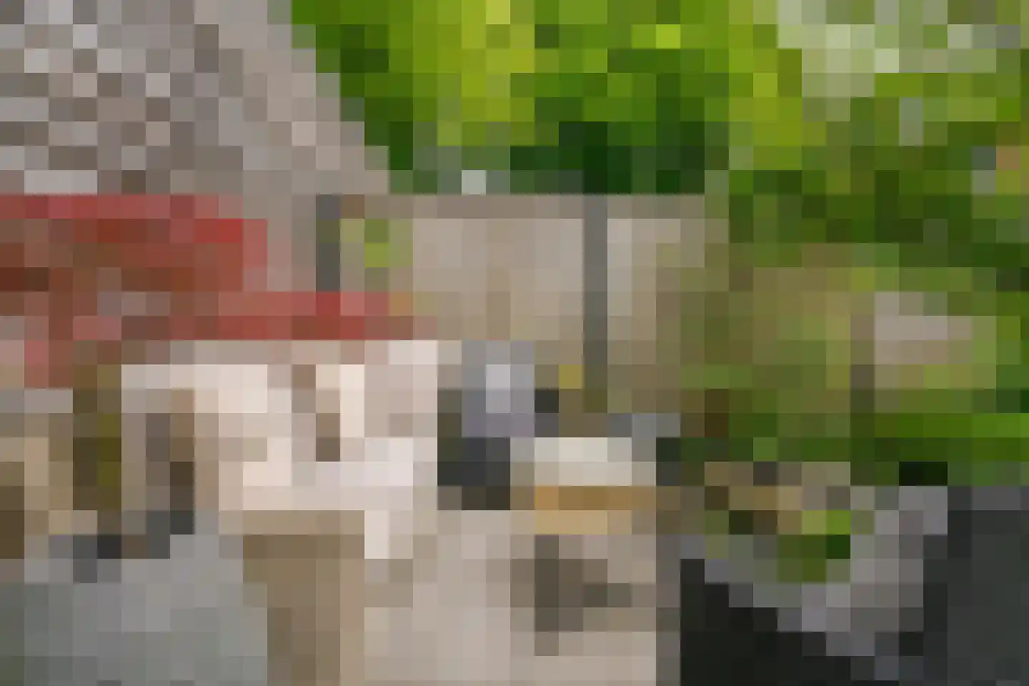 Rodenbachlaan 8 Uithoorn thumbnail 23