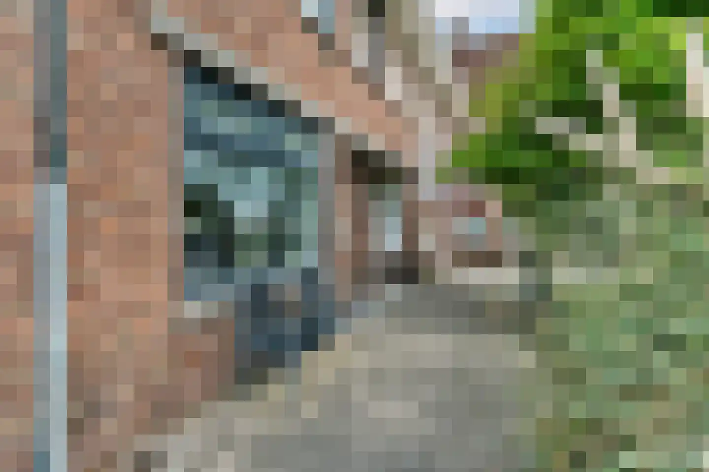 Rodenbachstraat 88 Den Haag thumbnail 4