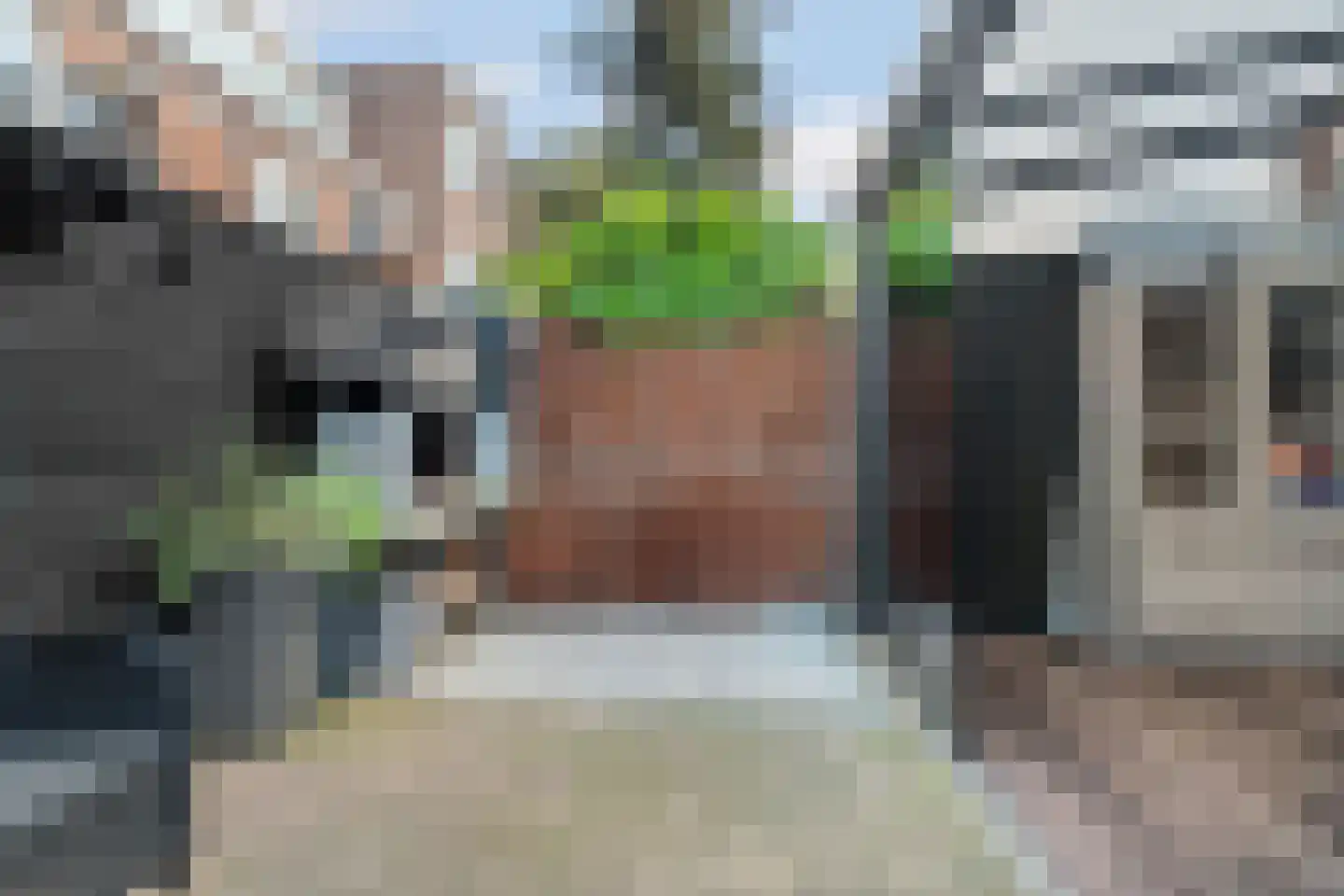 Rodenbachstraat 88 Den Haag thumbnail 51