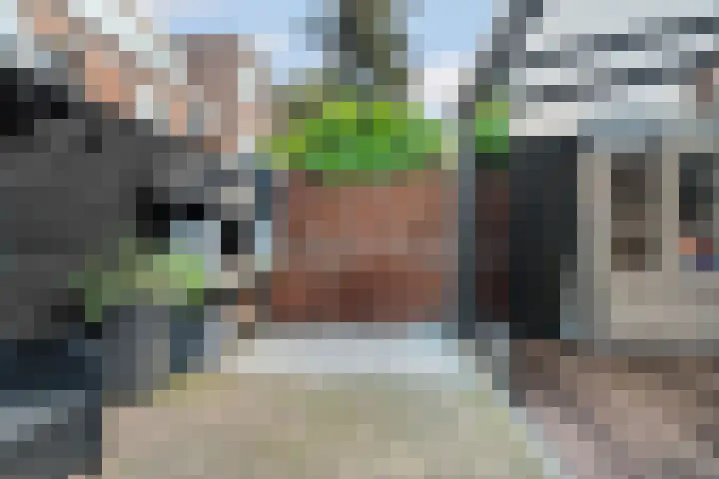 Rodenbachstraat 88 Den Haag thumbnail 53