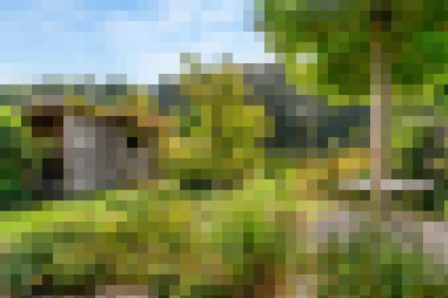 Rodenbergsedreef 70 Driebergen-Rijsenburg thumbnail 50