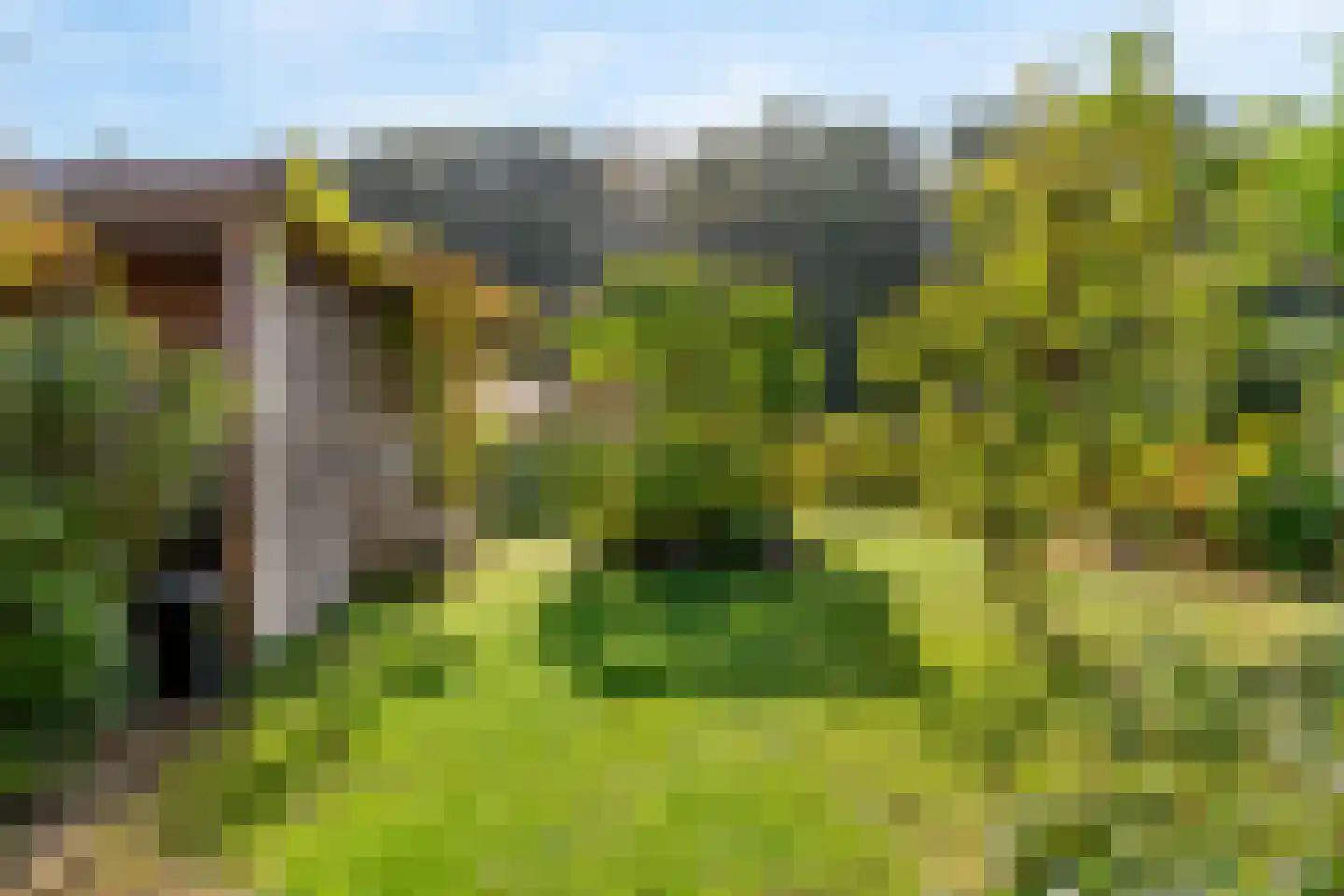 Rodenbergsedreef 70 Driebergen-Rijsenburg thumbnail 51