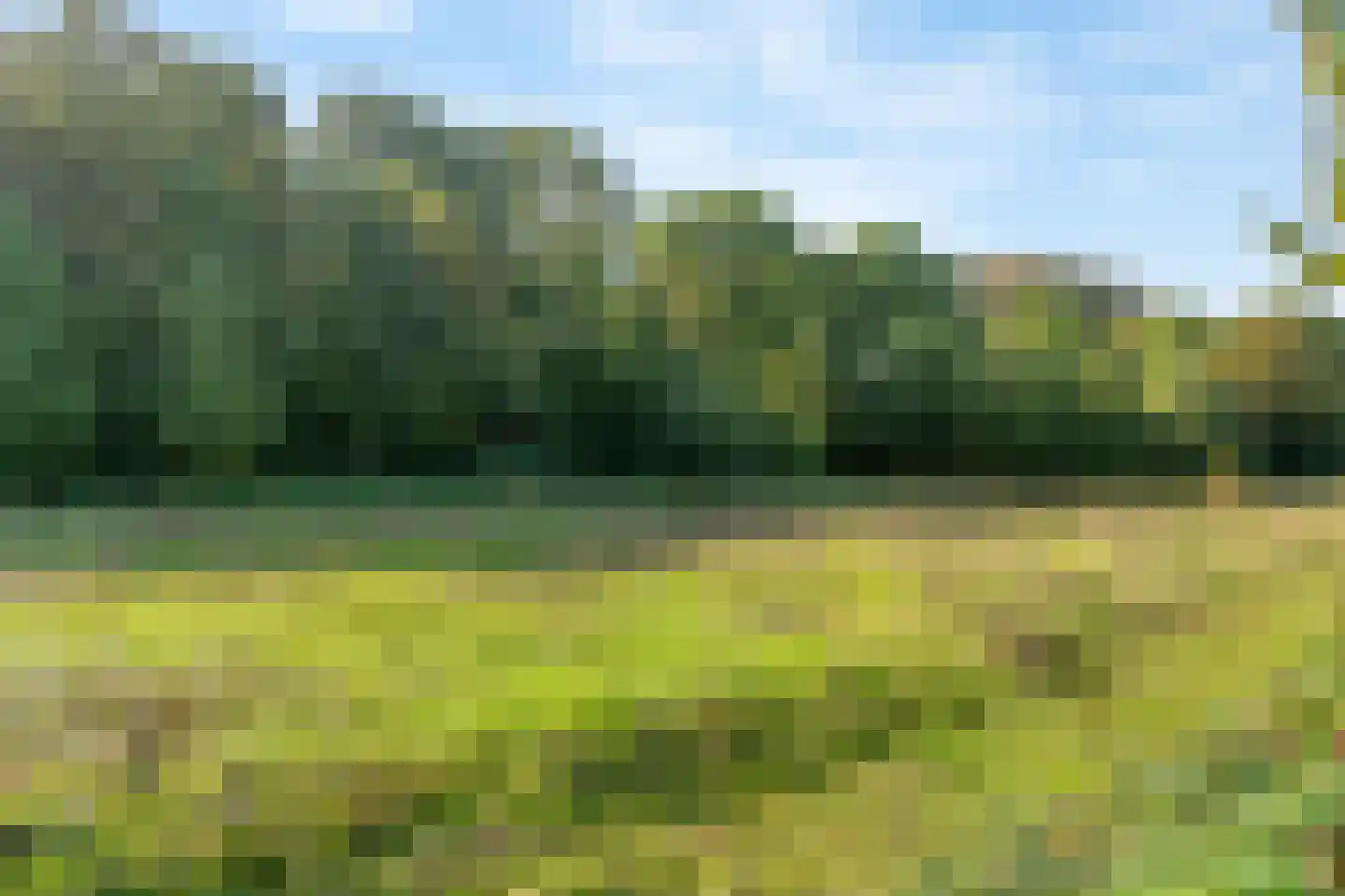 Rodenbergsedreef 70 Driebergen-Rijsenburg thumbnail 52