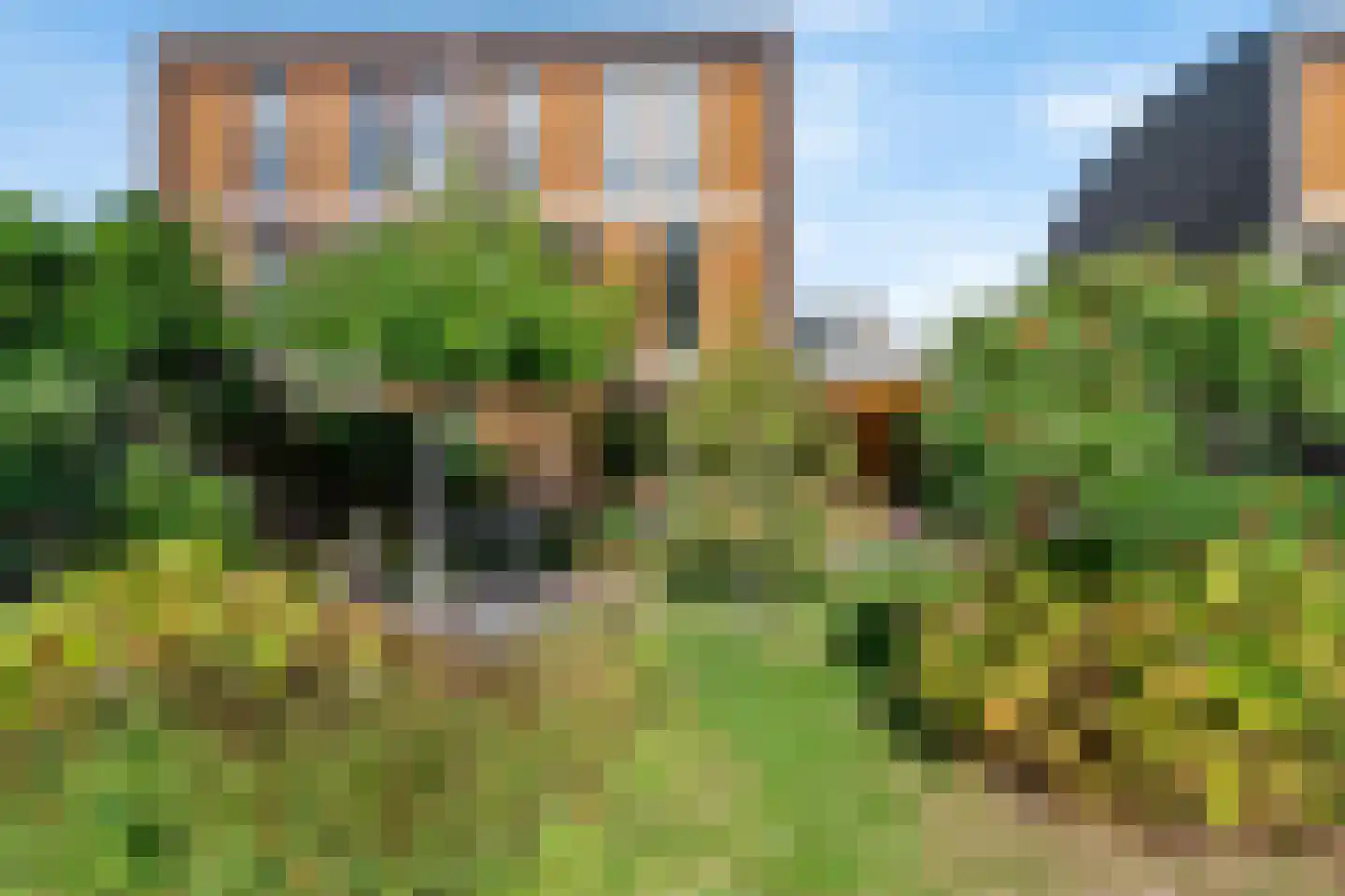 Rodenbergsedreef 70 Driebergen-Rijsenburg thumbnail 53