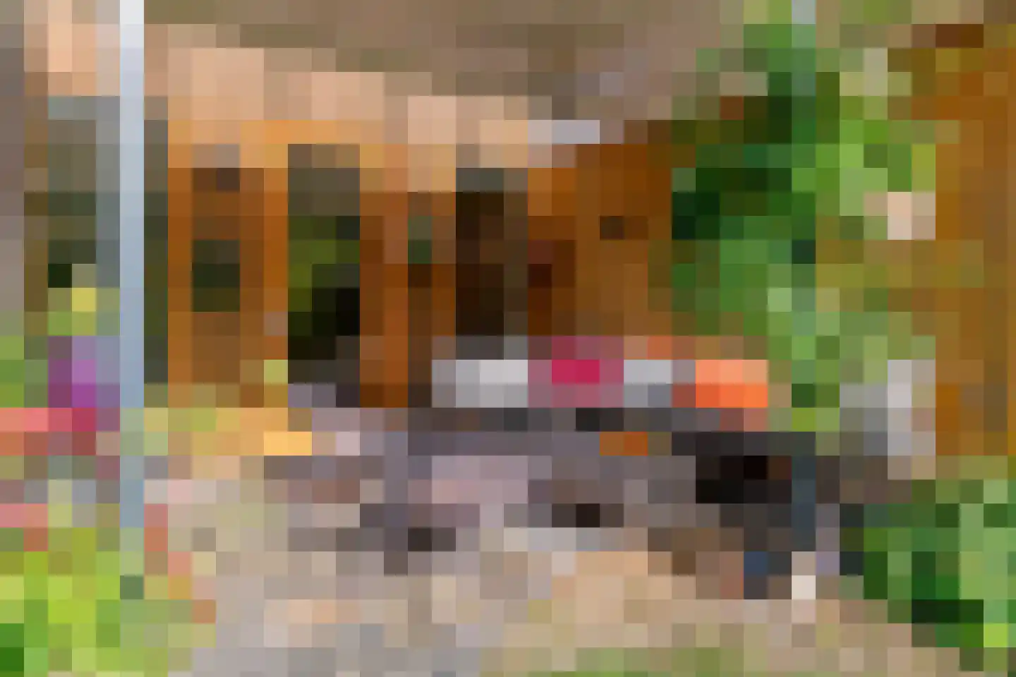 Rodenbergsedreef 70 Driebergen-Rijsenburg thumbnail 56