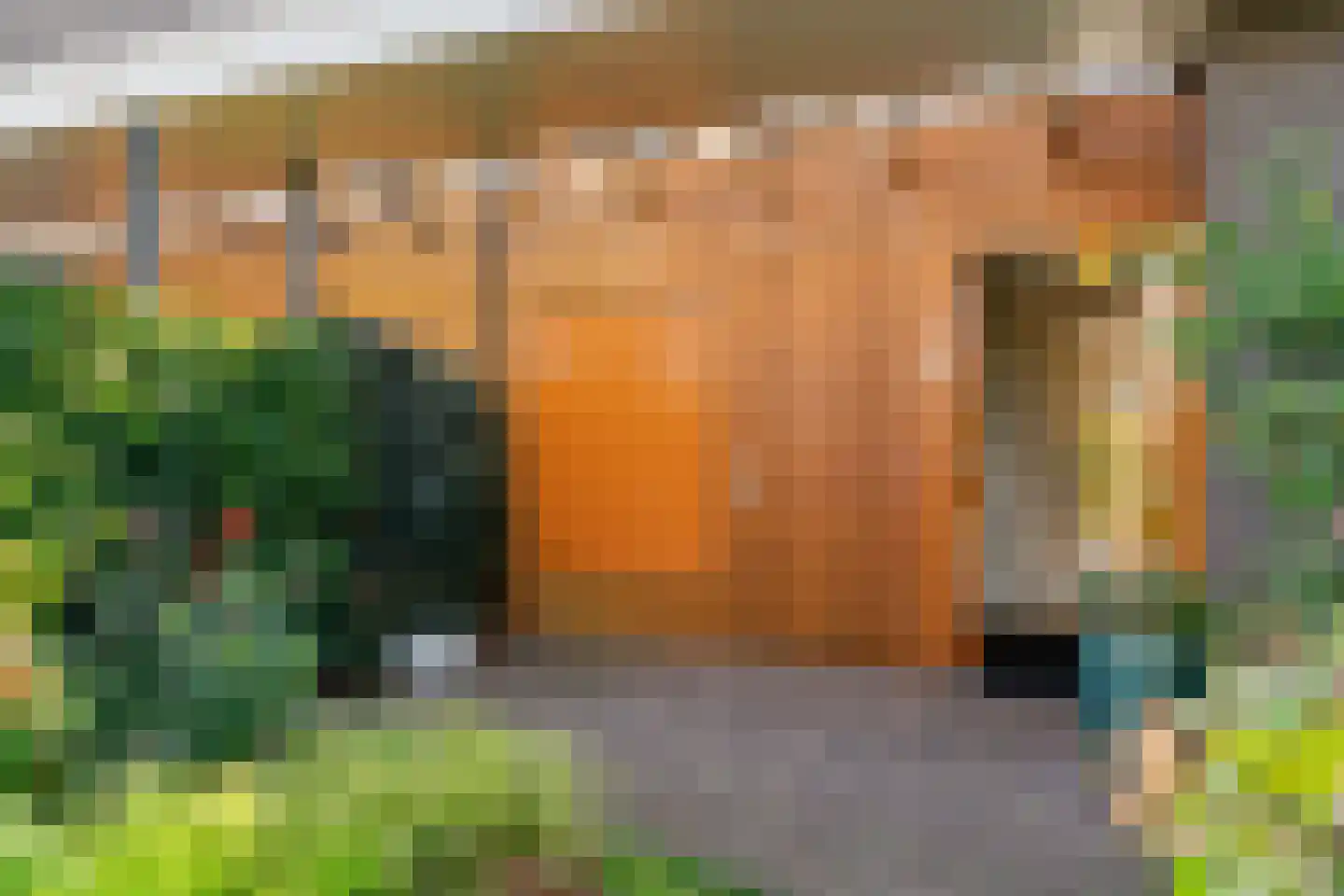 Rodenbergsedreef 70 Driebergen-Rijsenburg thumbnail 59