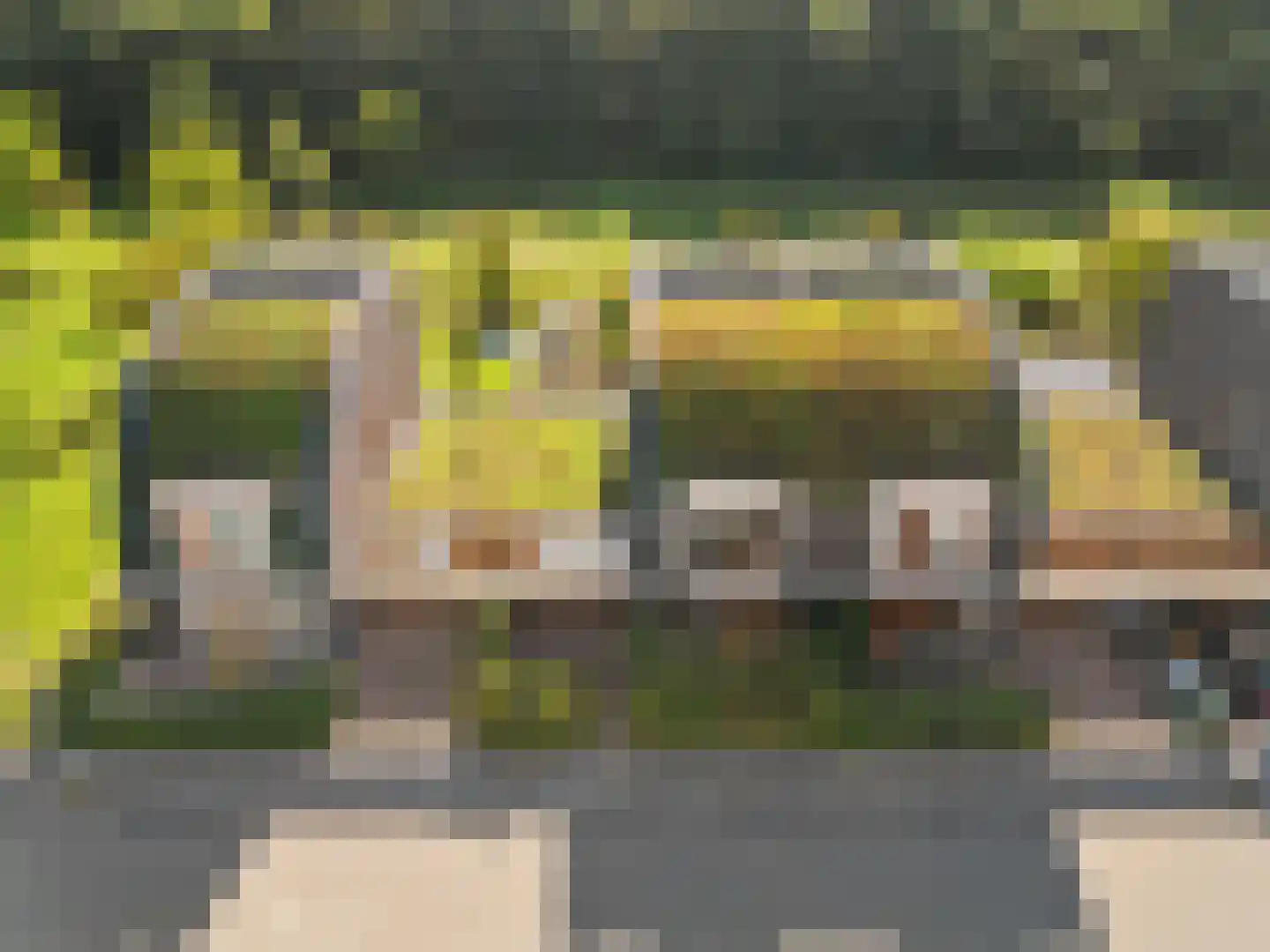 Rodenbergsedreef 70 Driebergen-Rijsenburg thumbnail 63