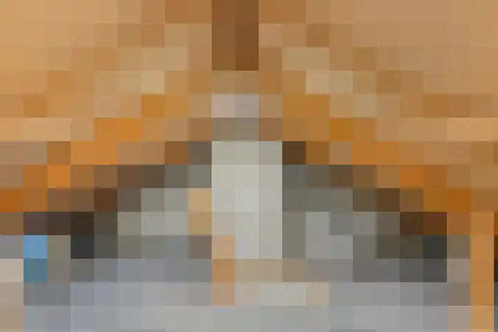 Rodenborchweg 27 Rosmalen thumbnail 25