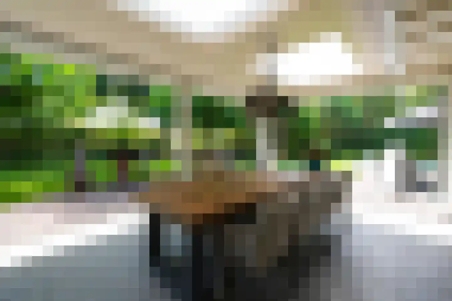 Rodenburg 10 Helmond thumbnail 29