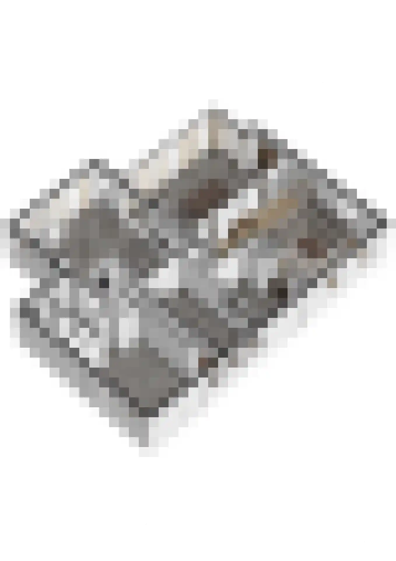 Rodenburg 10 Helmond thumbnail 36