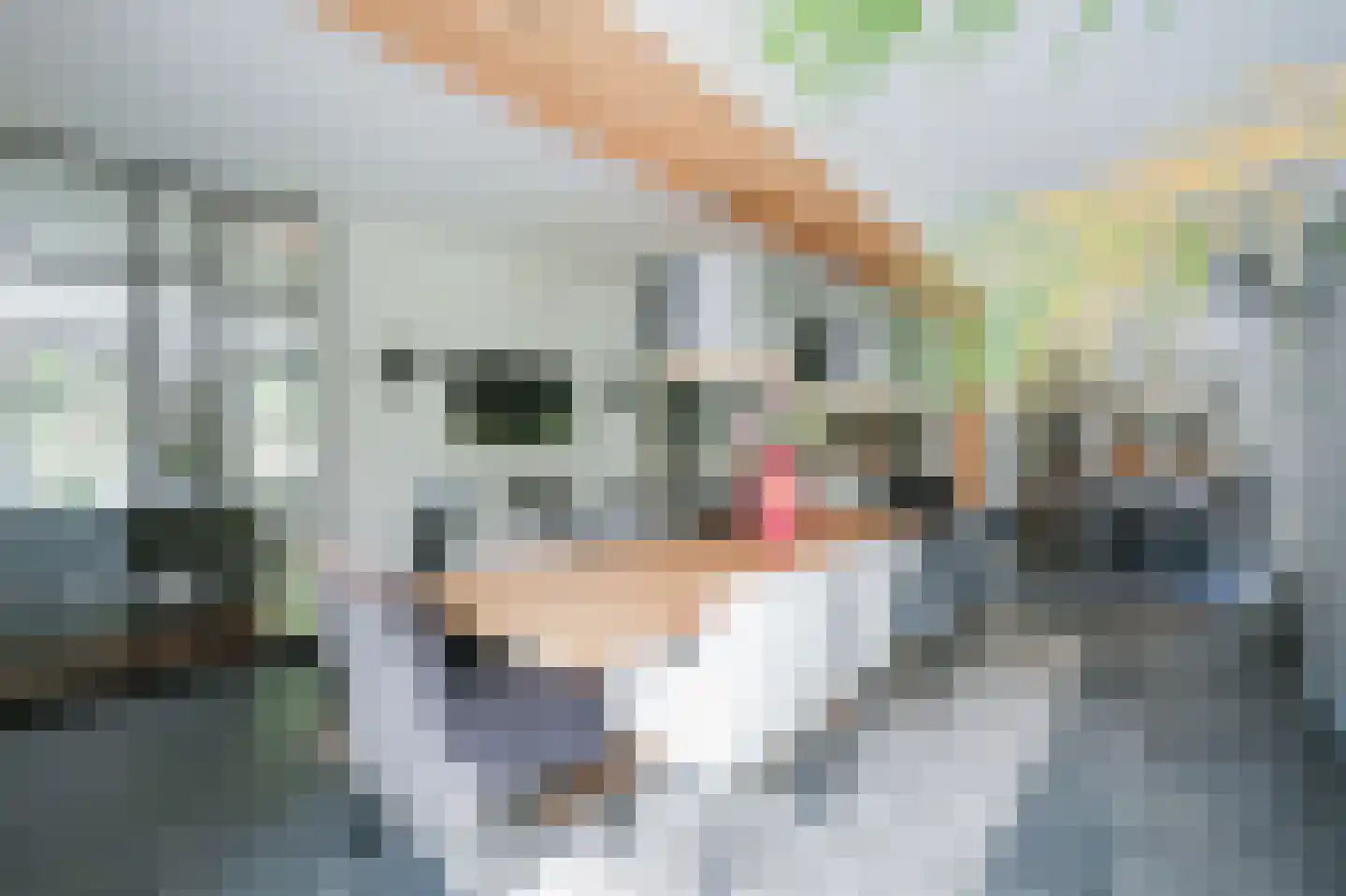 Rodenburg 10 Helmond thumbnail 9
