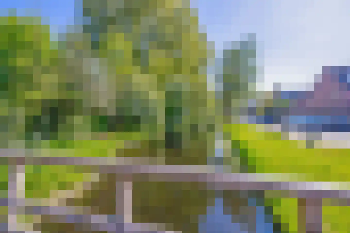 Rodenburg 25 Gouda thumbnail 29