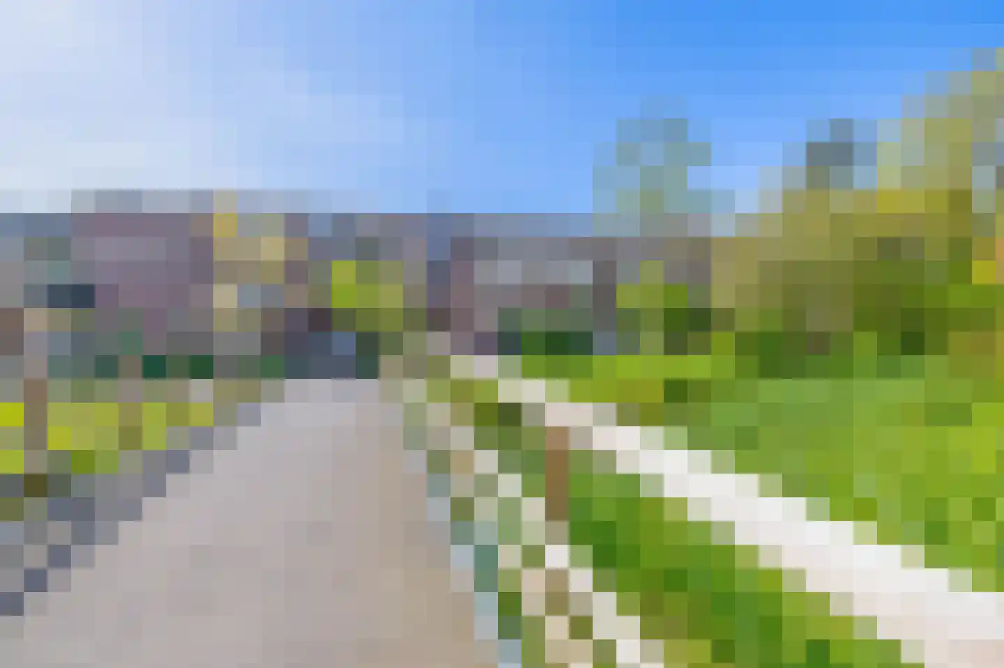 Rodenburg 25 Gouda thumbnail 30