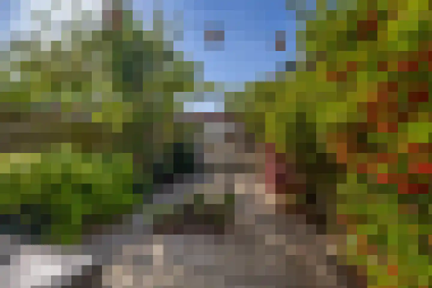 Rodenburg 25 Gouda thumbnail 4