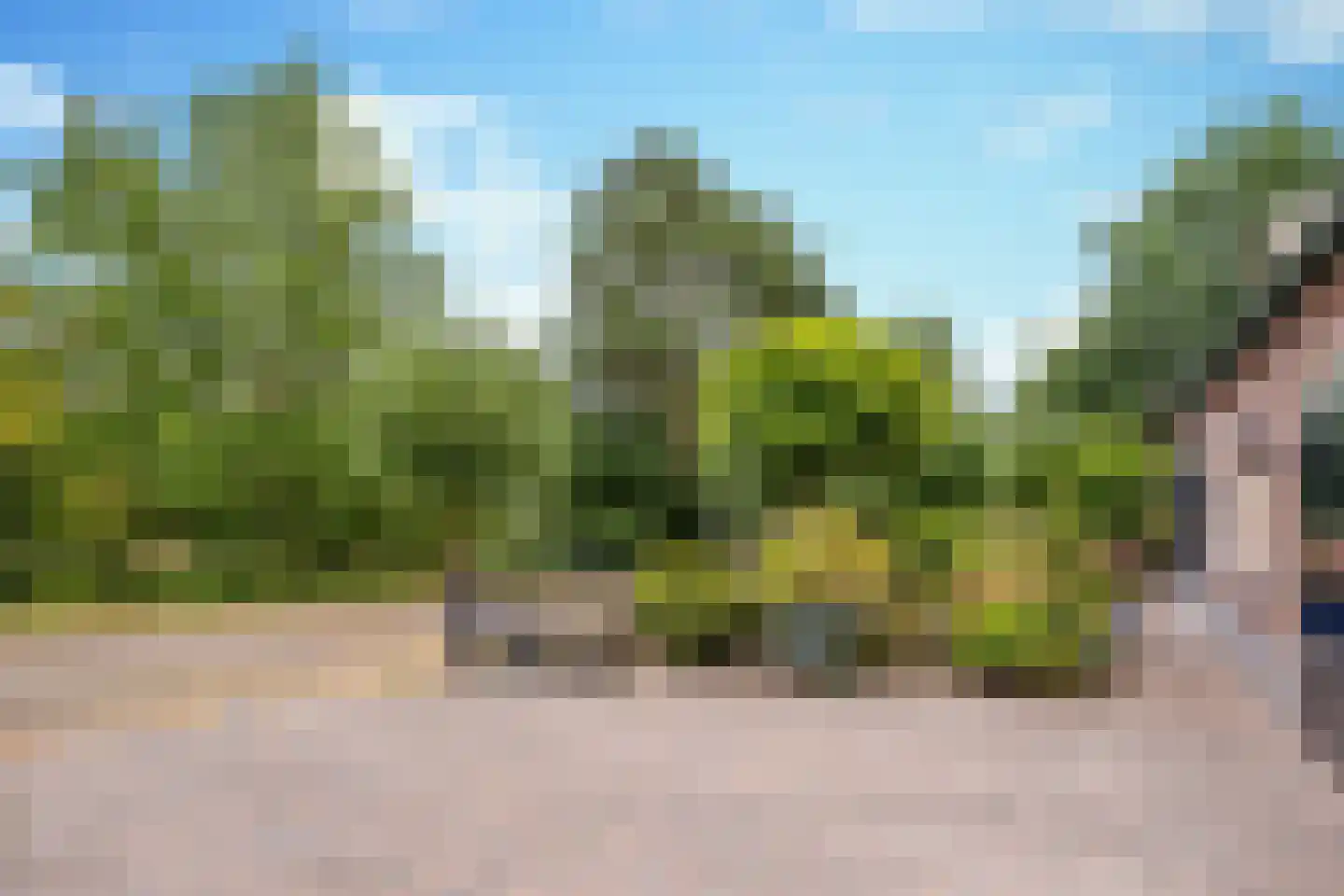 Rodenburg 6 Helmond thumbnail 10