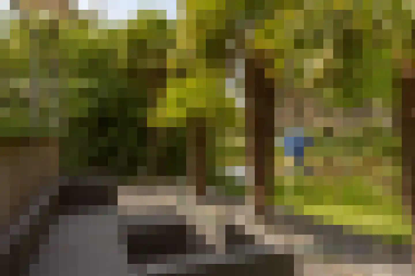 Rodenburglaan 9 Wassenaar thumbnail 11