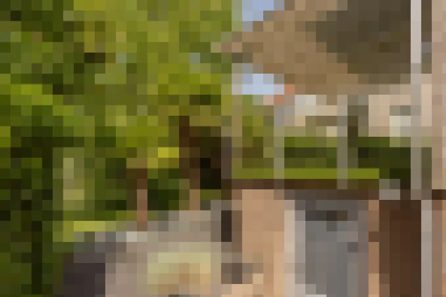 Rodenburglaan 9 Wassenaar thumbnail 12