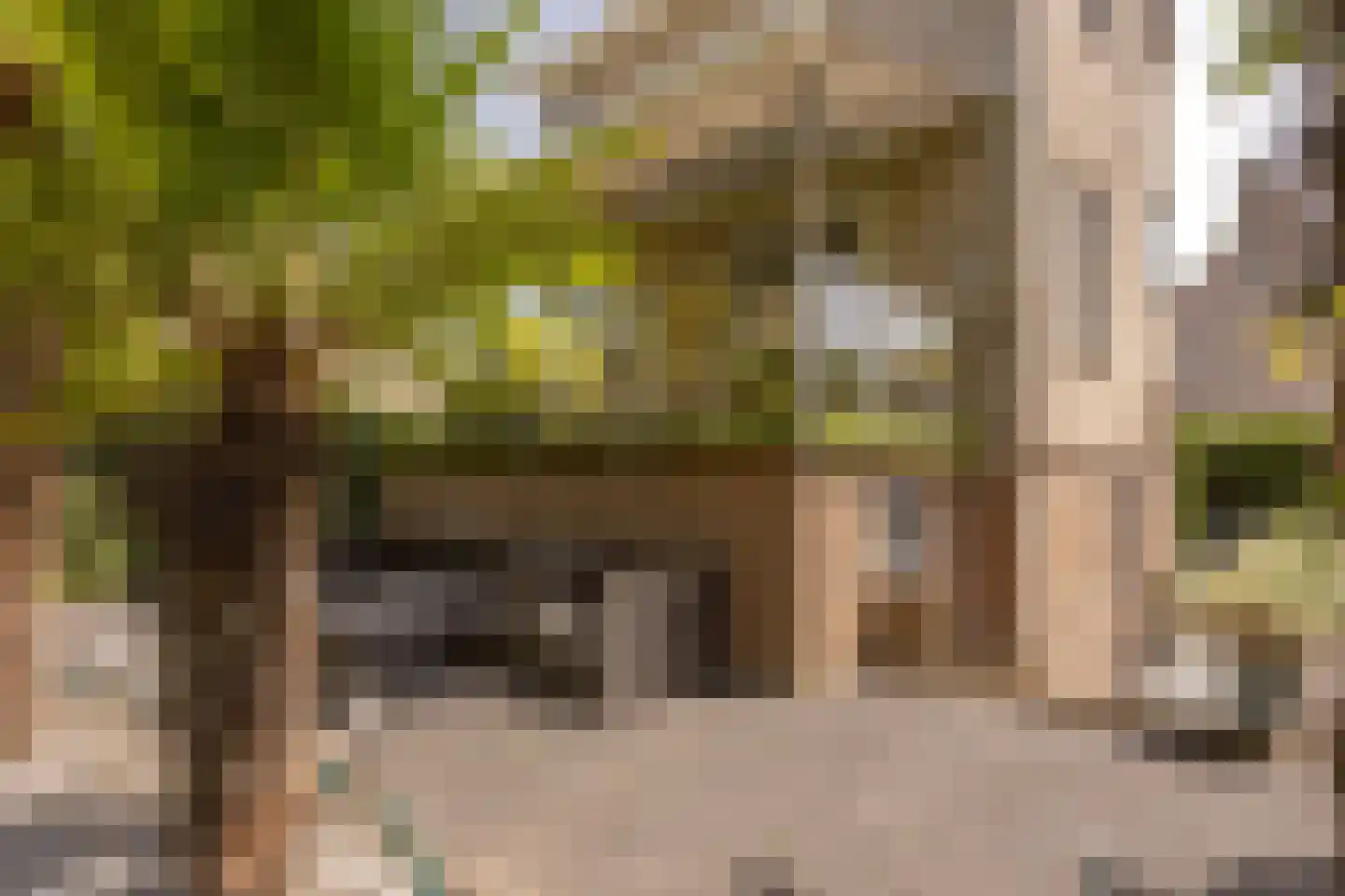 Rodenburglaan 9 Wassenaar thumbnail 13