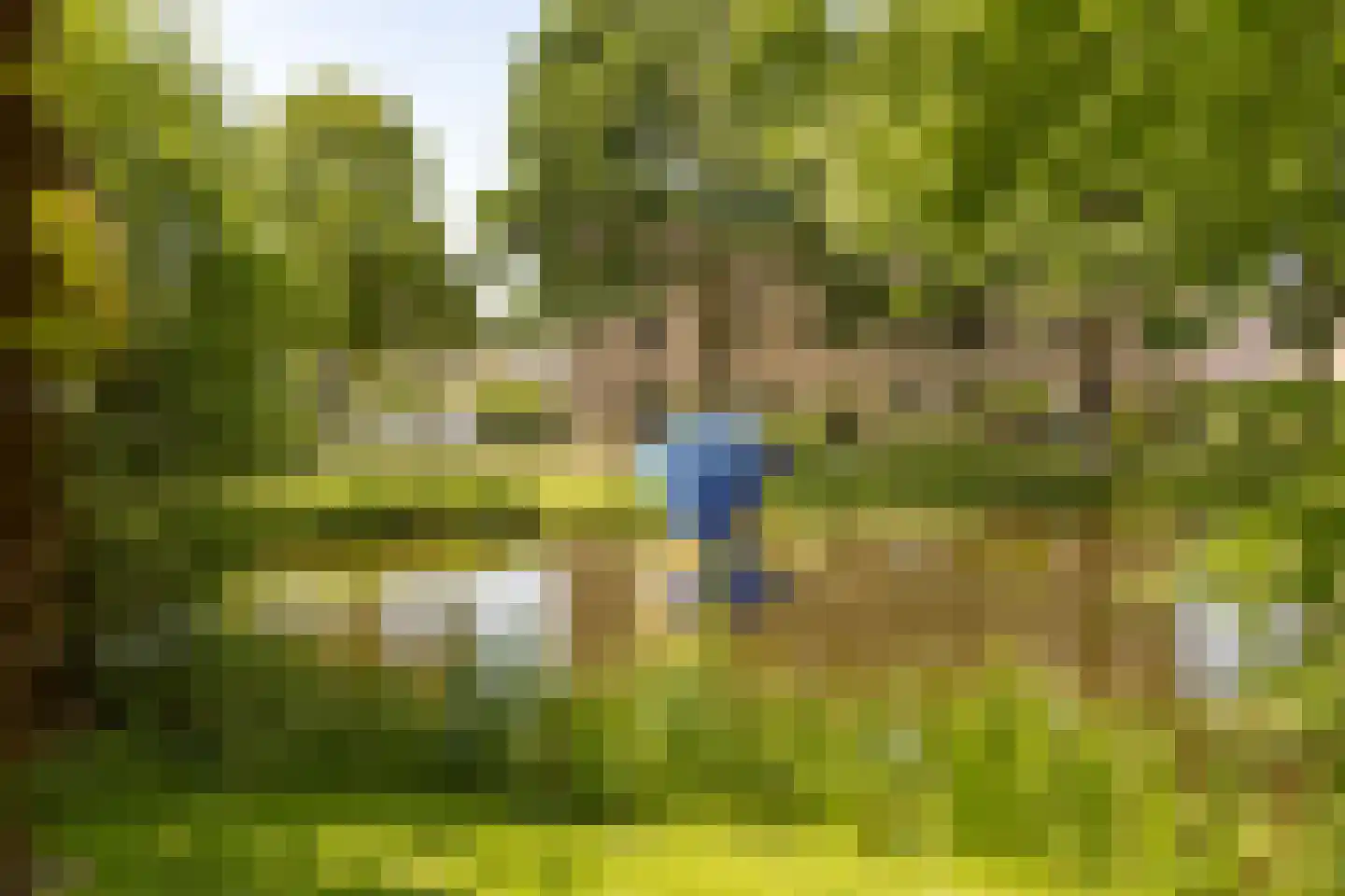 Rodenburglaan 9 Wassenaar thumbnail 14