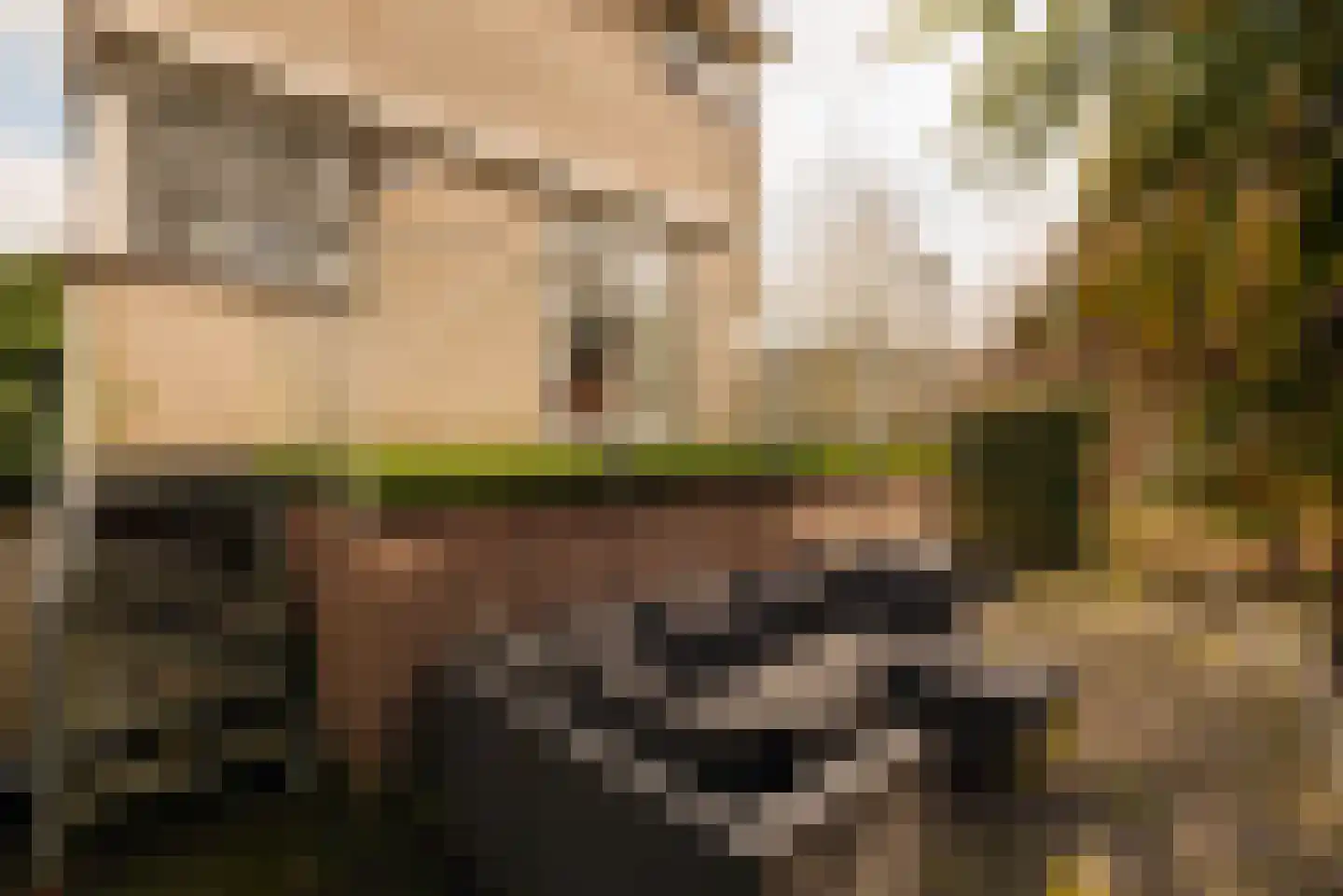 Rodenburglaan 9 Wassenaar thumbnail 14