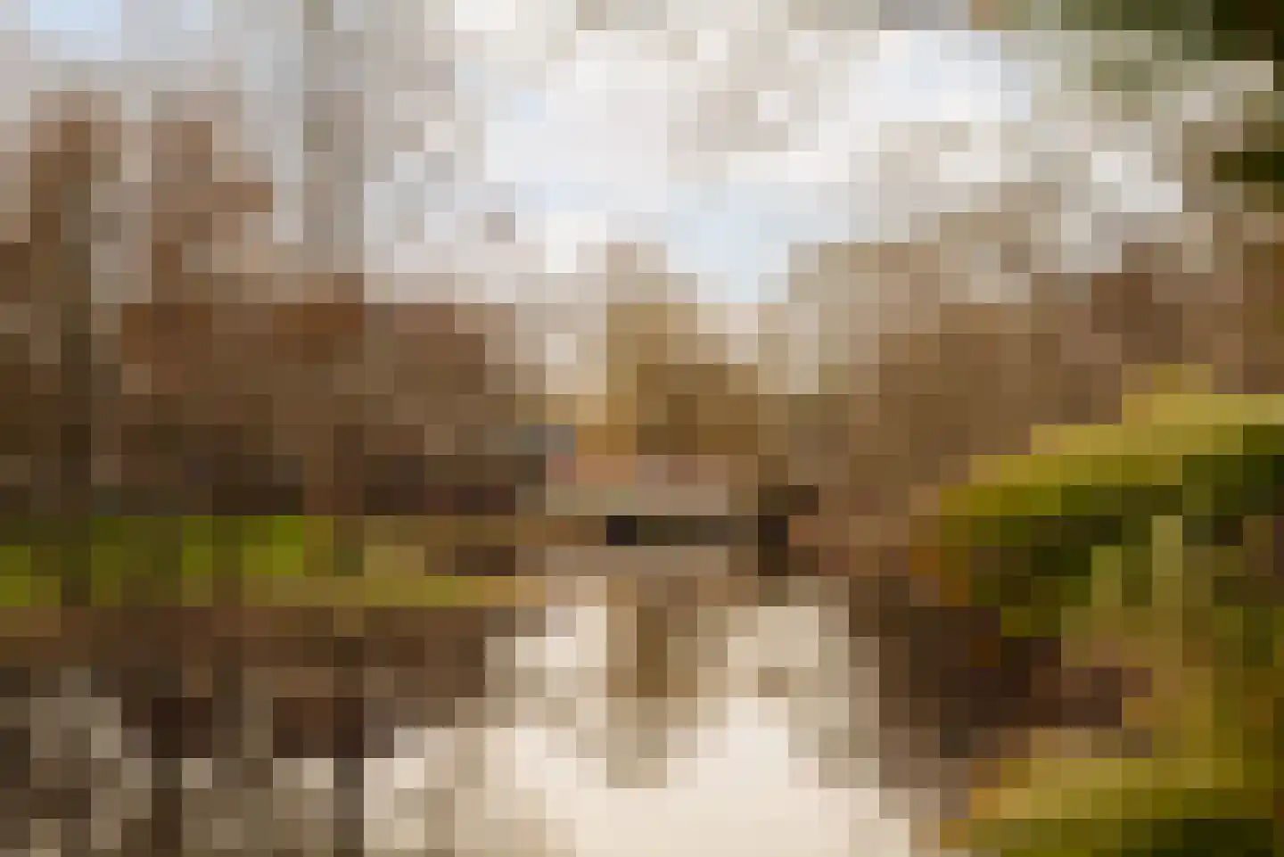 Rodenburglaan 9 Wassenaar thumbnail 15