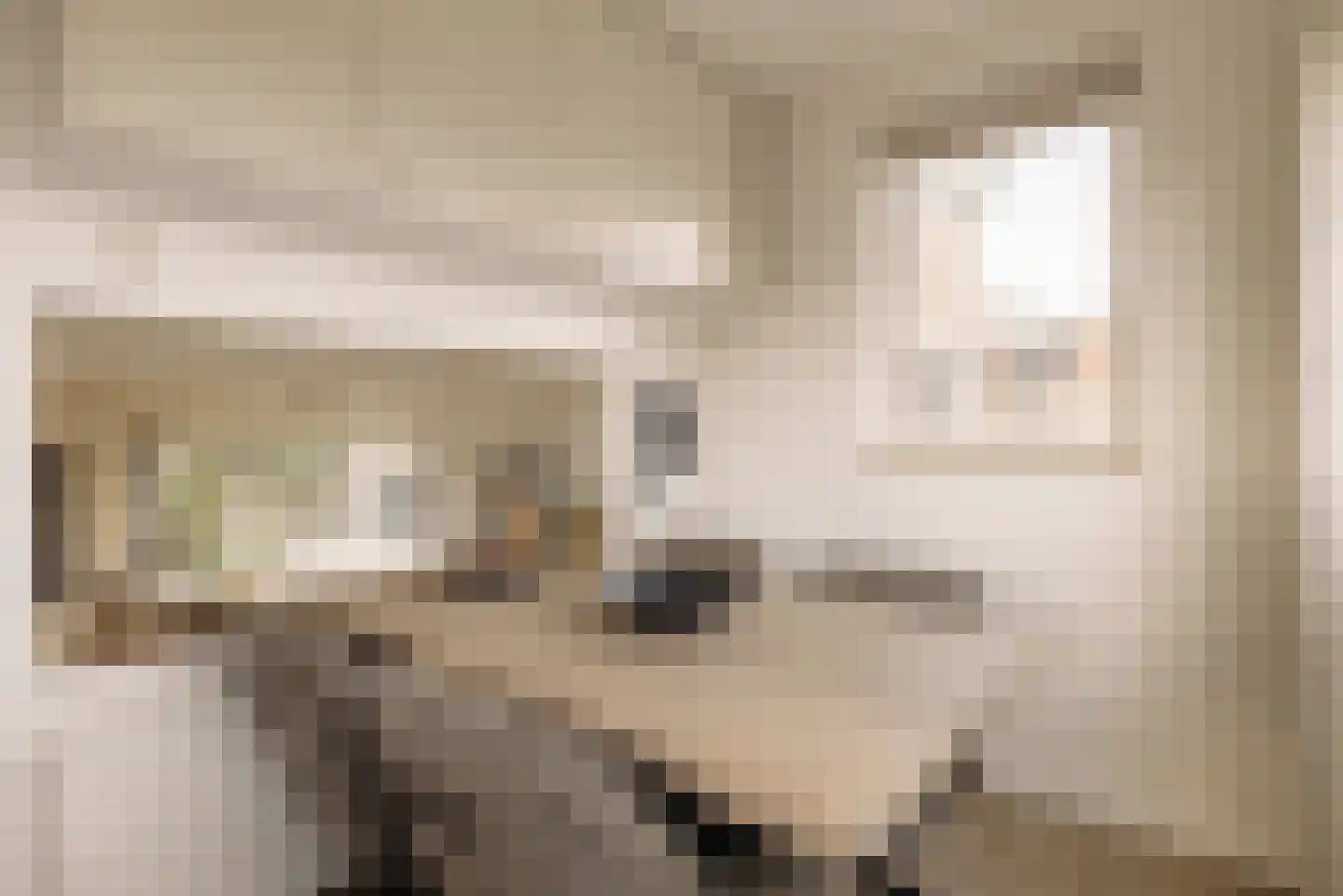 Rodenburglaan 9 Wassenaar thumbnail 23