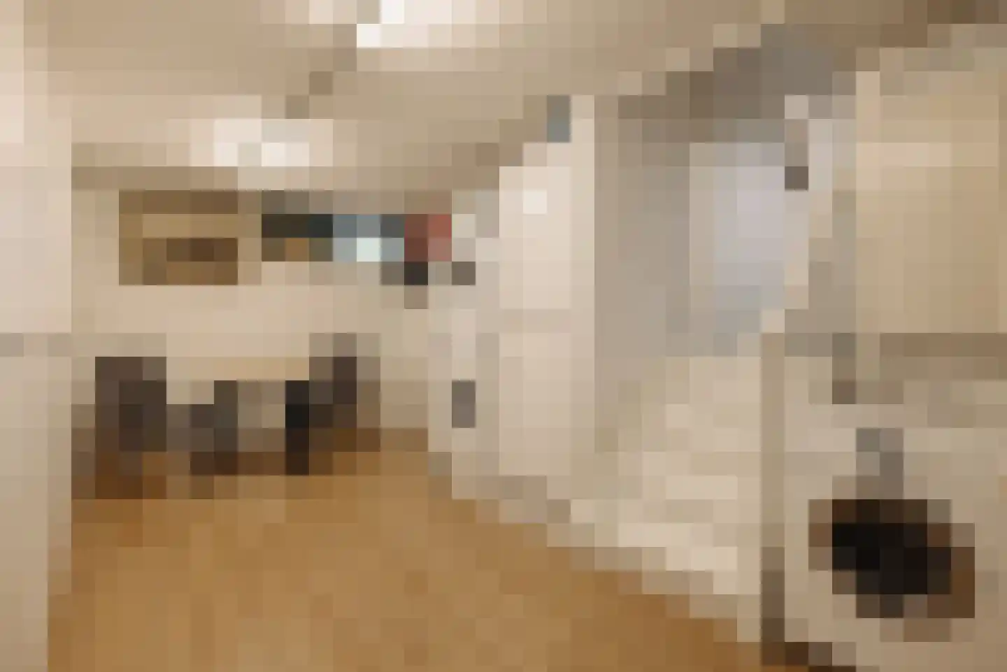 Rodenburglaan 9 Wassenaar thumbnail 33