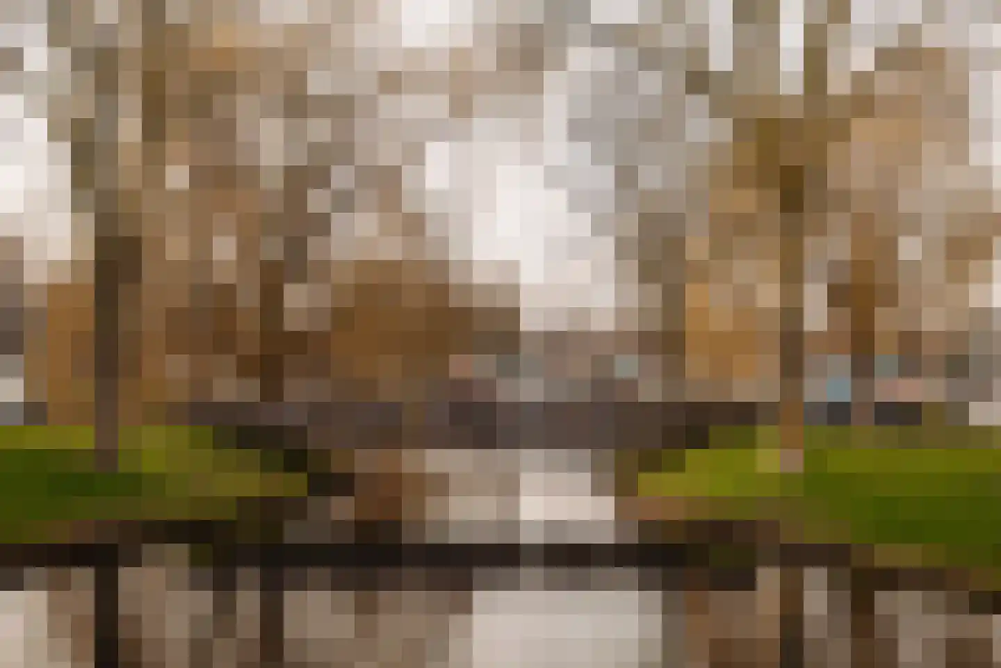 Rodenburglaan 9 Wassenaar thumbnail 35