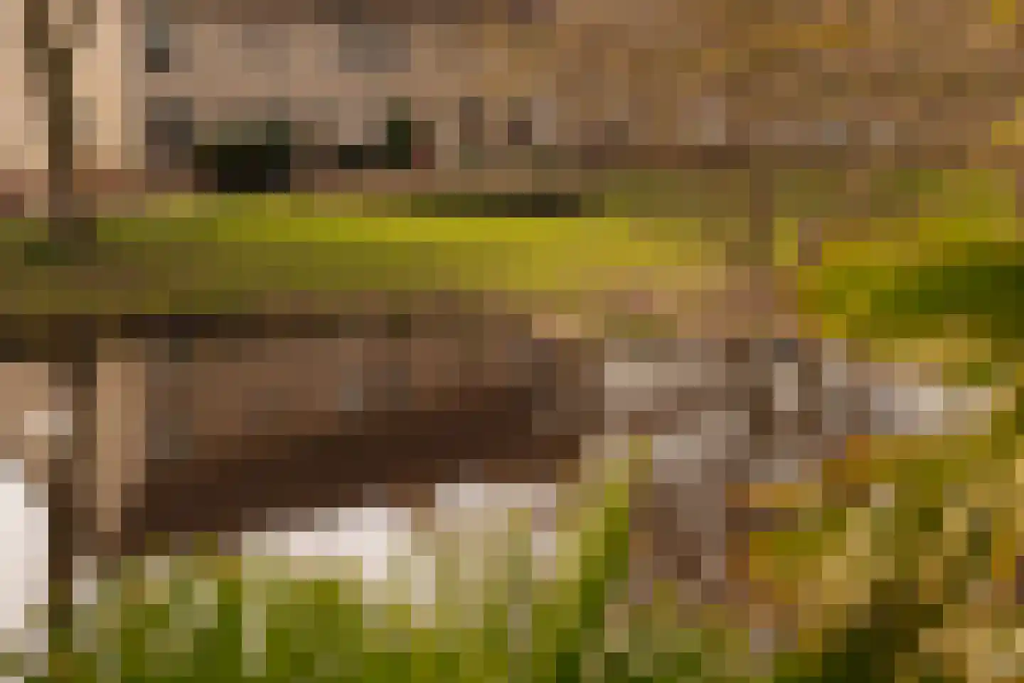 Rodenburglaan 9 Wassenaar thumbnail 8