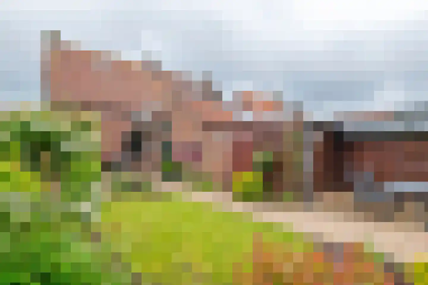Rodenburgstraat 14 Tricht thumbnail 25