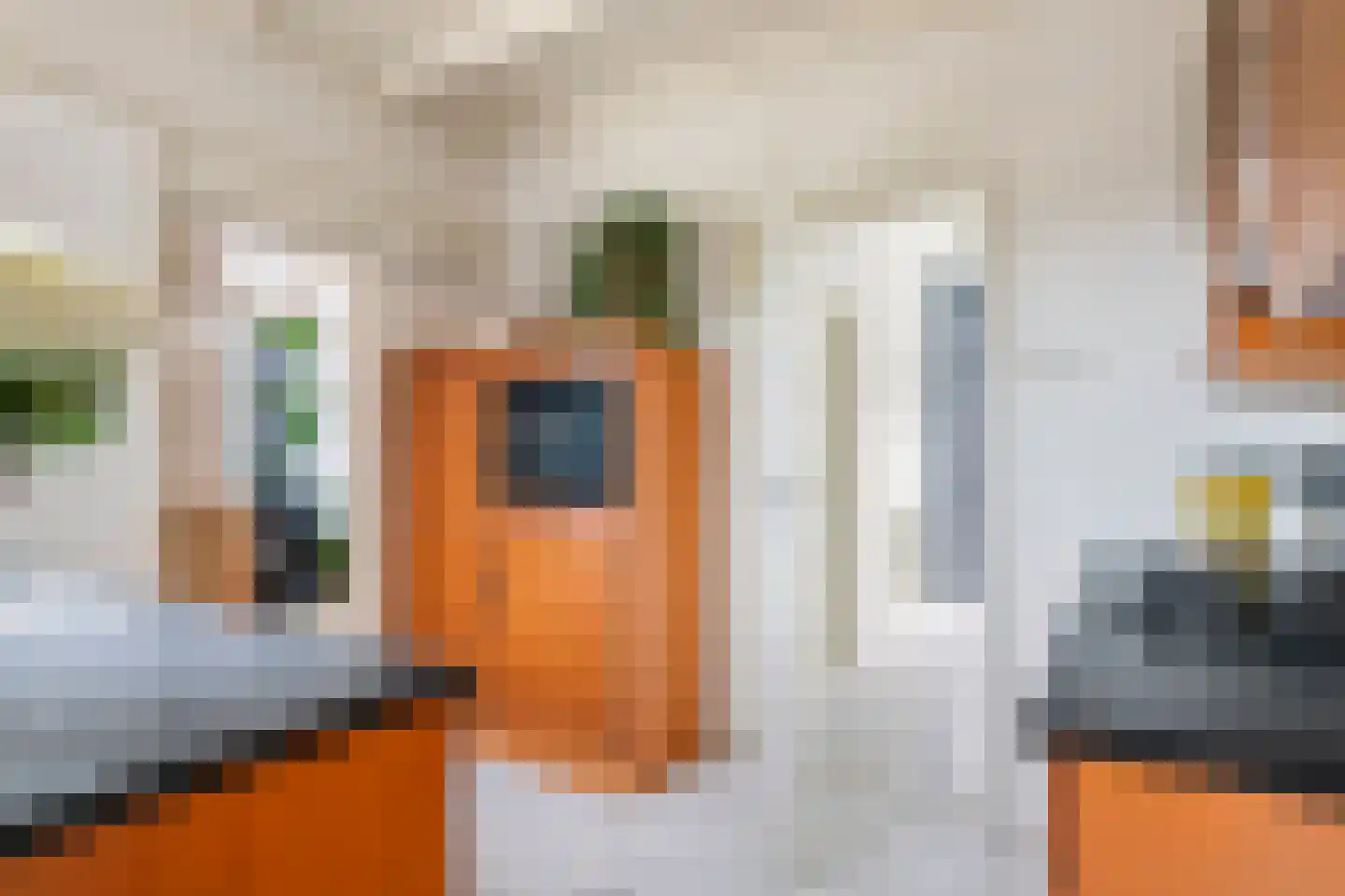 Rodenburgstraat 14 Tricht thumbnail 6