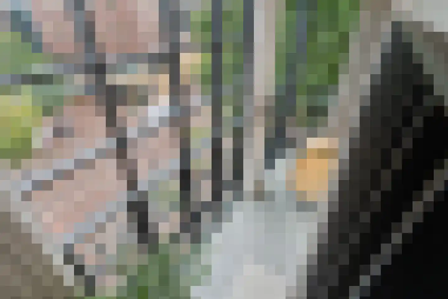 Rodenburgstraat 2 Arnhem thumbnail 21