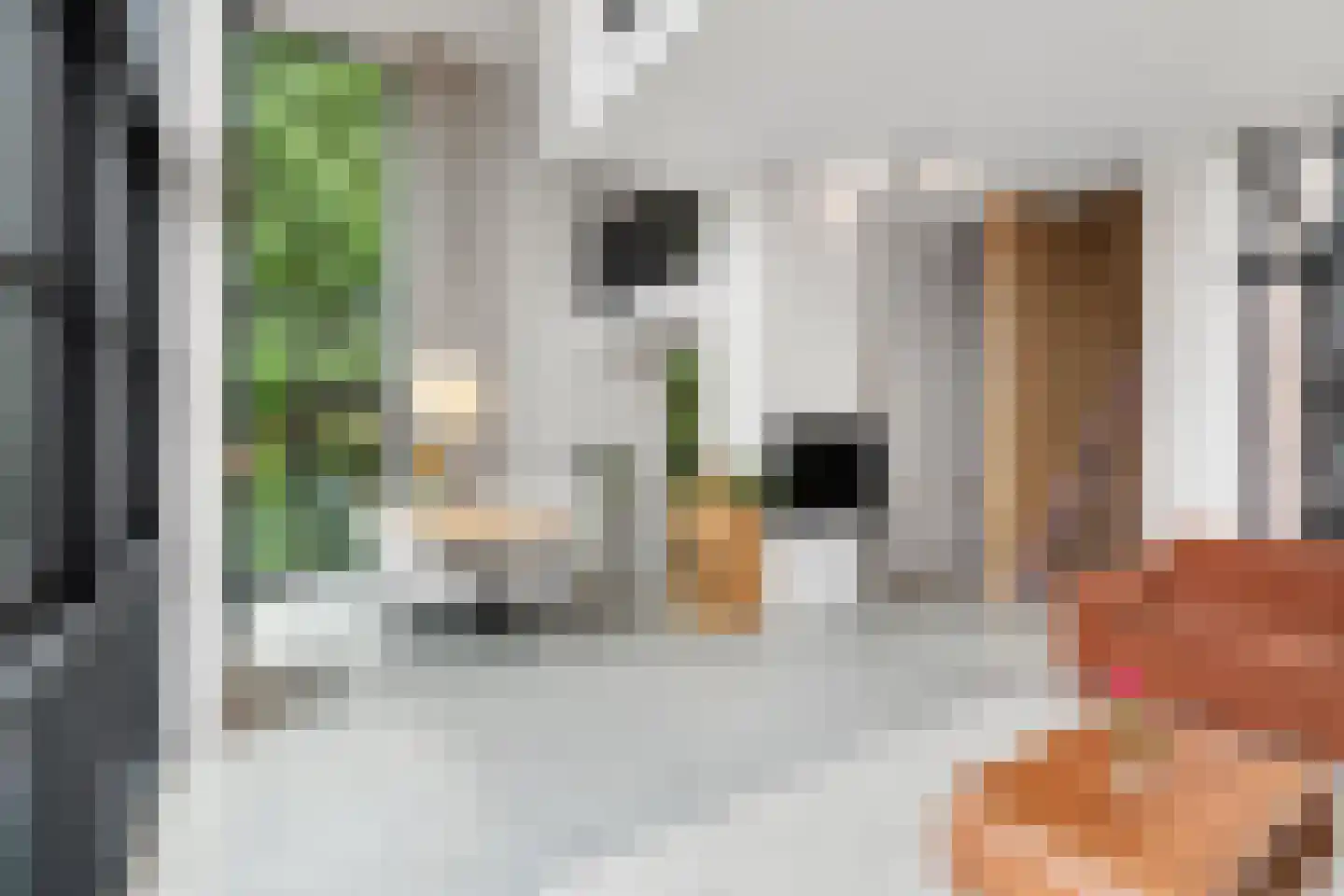 Rodenburgstraat 2 Arnhem thumbnail 4