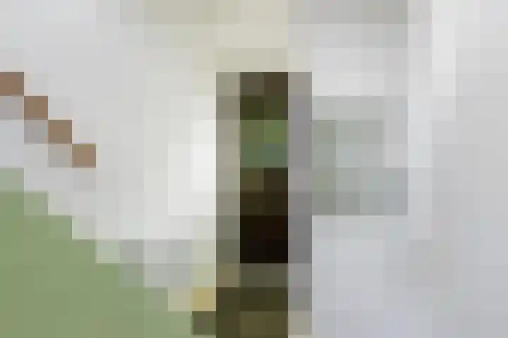 Rodenburgstraat 45 Rotterdam thumbnail 5