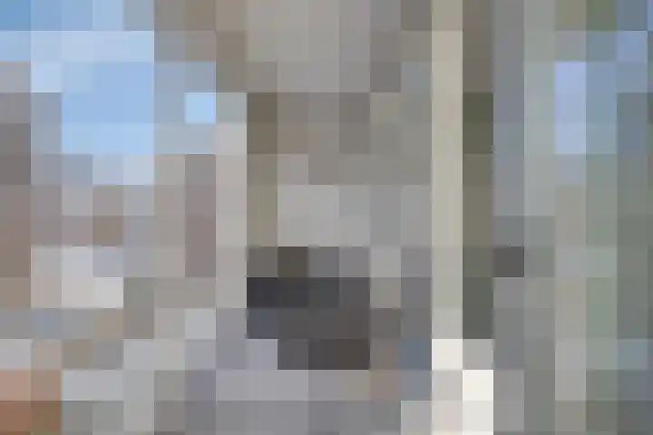 Rodenburgweg 30 Eindhoven thumbnail 12