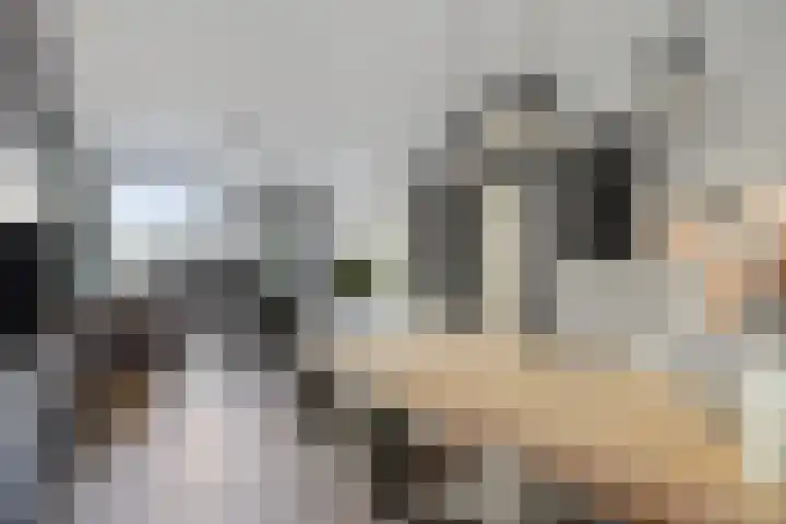 Rodenburgweg 30 Eindhoven thumbnail 18