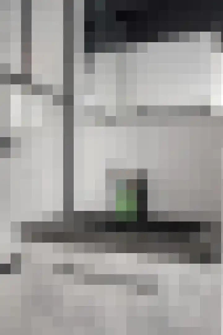 Rodenburgweg 30 Eindhoven thumbnail 31