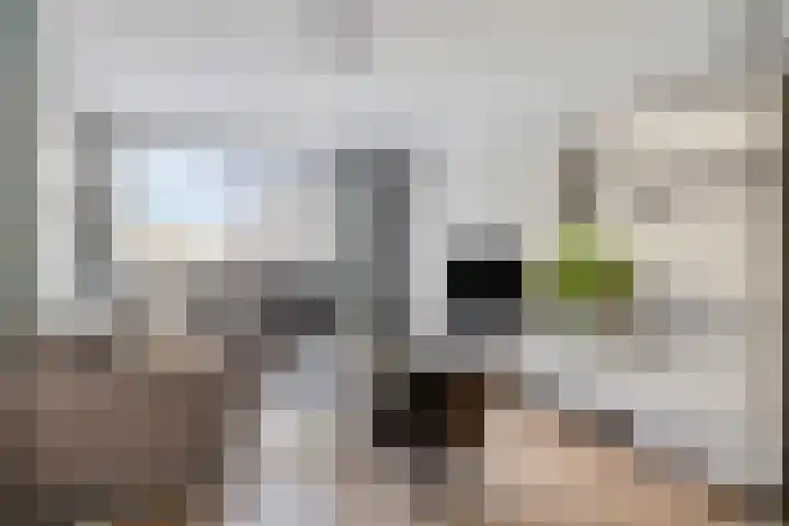 Rodenburgweg 30 Eindhoven thumbnail 8