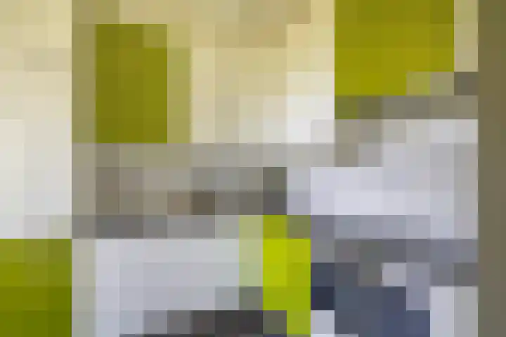 Rodenburgweg 36 Eindhoven thumbnail 19