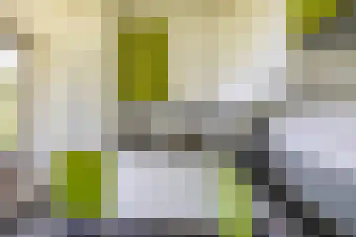 Rodenburgweg 36 Eindhoven thumbnail 22