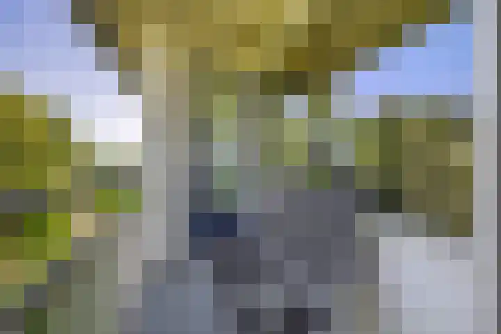 Rodenburgweg 36 Eindhoven thumbnail 24