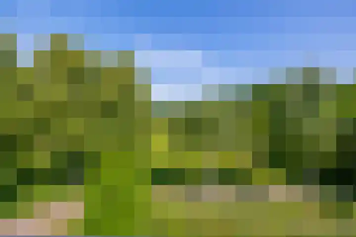 Rodenburgweg 36 Eindhoven thumbnail 25
