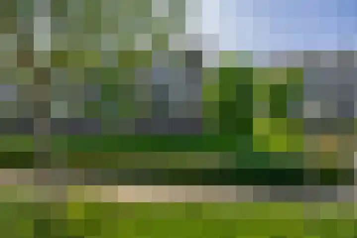Rodenburgweg 36 Eindhoven thumbnail 33