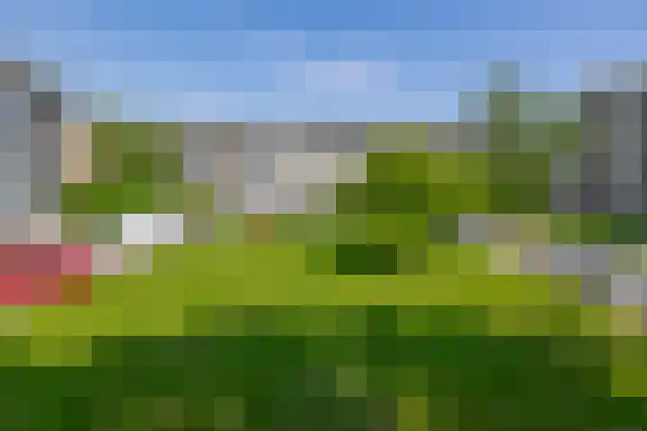 Rodenburgweg 36 Eindhoven thumbnail 35