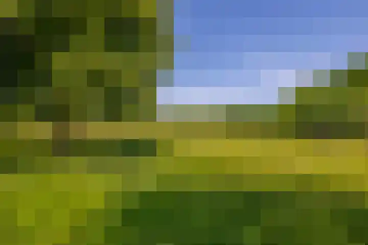 Rodenburgweg 36 Eindhoven thumbnail 36
