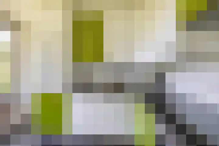 Rodenburgweg 36 Eindhoven thumbnail 4