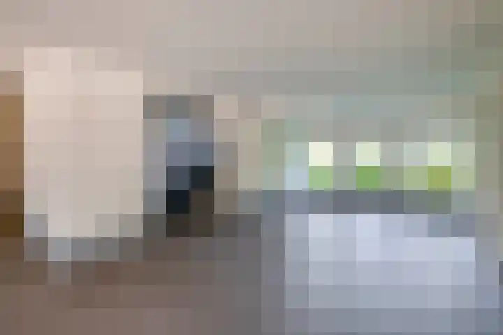Rodenburgweg 36 Eindhoven thumbnail 8