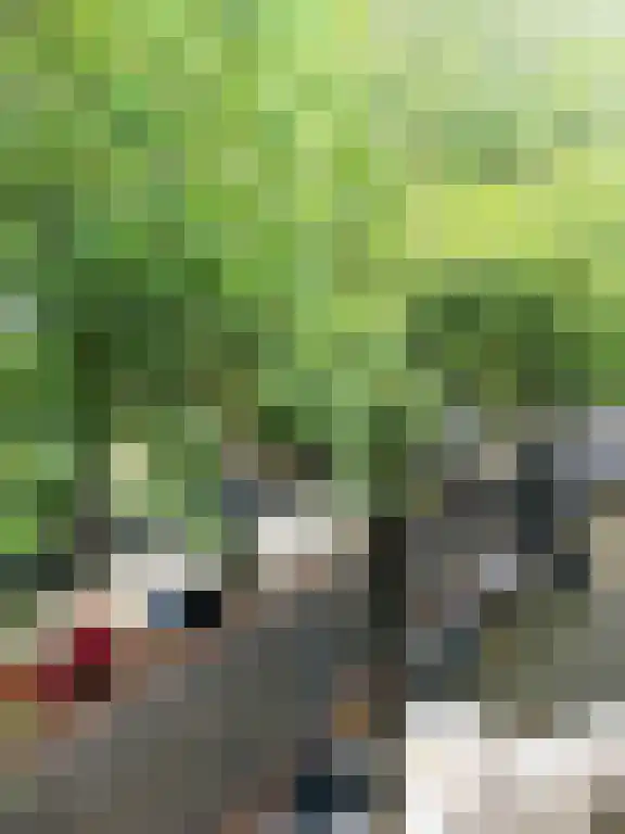 Rodenrijselaan 02 V Rotterdam thumbnail 4